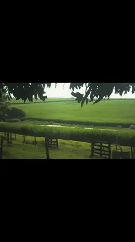 doi mat ke tinh si - grey d, min | #lyrics #music #xuhuong #fyp #viral 