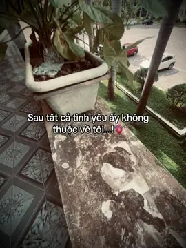 #huyhoang_🍁 #xuhuong 