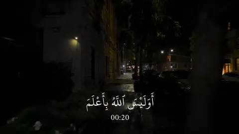 العنكبوت - #عبدالرحمن_مسعد 