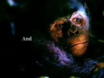 #anthropology #evolution #humanity #edit #nuclear 