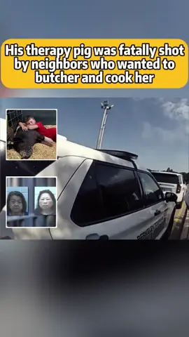 Garret Cox’s 400lb therapy pig, Bootsy, was fatally sh0t by his neighbors! #fyp #crime #truecrime #viral #pig