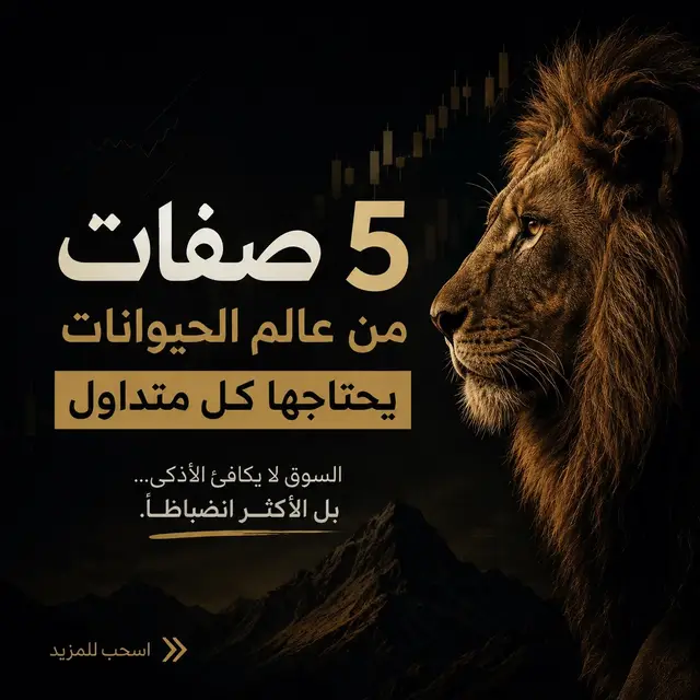 العقلية التي تدخل بها السوق…   قد تكون أهم من استراتيجيتك نفسها. تعلم من الحيوانات: 🐺 الصبر   🐆 التحرك في الوقت المناسب   🦉 الملاحظة   🦅 التركيز   🐜 الاستمرارية لأن التداول ليس للأذكى…   بل للأكثر انضباطًا. #تداول #تداول_الاسهم #تعلم_على_التيك_توك #تعلم_التداول_من_الصفر_الى_الإحتراف #تعليم_التداول 
