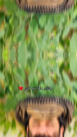 ⁦ماما جان ❤️⁩دہ لورالائی جانان ترہ کئی⁦