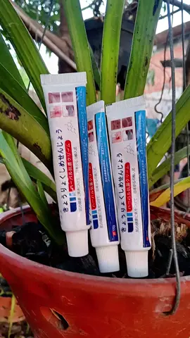#kemboingua #kemboinamnguahaclao #kemboiviemdacodia 