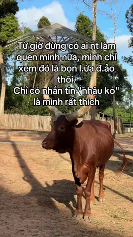 Trải nghiệm Tour nhốt người thả thú cùng mình nha #GreenCreator #dulich #vinpearlsafariphuquoc #TourNhotNguoiThaThu 