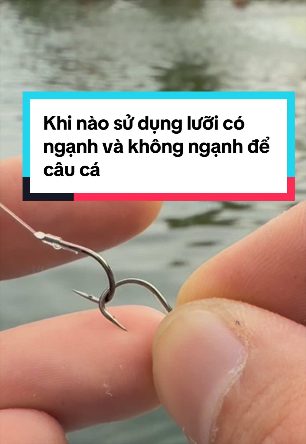 10 bộ lưỡi có ngạnh tóm sẵn hiệu MC có gì đặc biệt #cauca #docauca #fishing #dicauca 