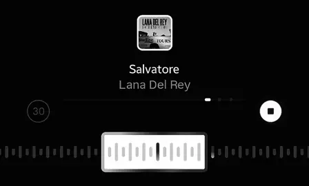 #salvatore #lanadelrey #lyrics #songlyrics #foryoupage 