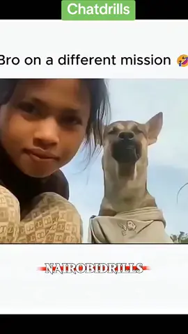 Bro busy being magestic. 😂 #fyp #viralreels #trending #viral #tiktokcomments 