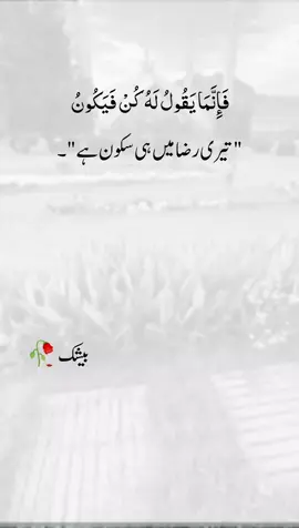#repost #request #islam #video #creatorsearchinsights 