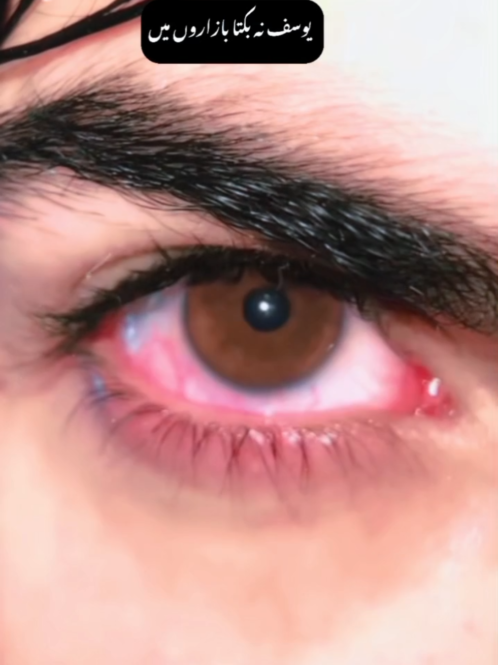 Muhbbat na yousaf nu Misra vikia🤕#fypシ゚ @وحشی🖤 #urdupoetry @It’s Aleezy 🦋 #sedeyes @زینب رحمٰن♥️ #foryoupage @🥀بلبل کشمیری🥀 #vewisproblam @علیشبہ 