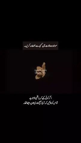 موجودہ حالات میں کسی سے بحث نہ کریں۔اگر کوئی کہے کہ ہاتھی اڑتا ہے تو اس کو بتائیں کہ آج صبح ہماری تار پر بیٹھا تھا۔#goodthoughts #mindfulness #positivevibes #innerpeace  #creatorsearchinsights 