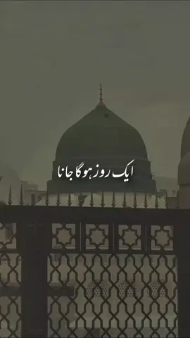 🥺❤️‍🩹 it's Friday status/ Naat 🤍🕊️  #unfreezemyaccount #unfreezemyacount #foryoupage❤️❤️ #foryoupagе #foryoupage❤️❤️ 