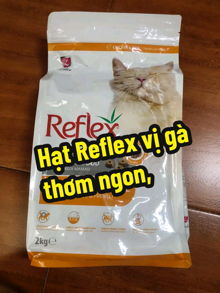 Hạt Reflex vị gà thơm ngon, đạm 31% cho mèo khỏe mạnh. Săn deal Mall ngay! 🐈✨ #Reflex #HatChoMeo #Petshop #chamsocmeo 