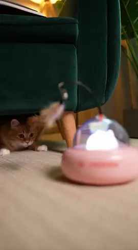 Automatic Cat Wand: Cute Design—Keeps Your Kitten Entertained So You Can Work with Peace of Mind#catsoftiktok #cartok 