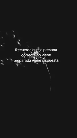 #frases_aesthetic #factos #video 