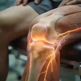 🔥 STOP AUX DOULEURS QUI VOUS GÂCHENT LA VIE ! 🔥 Vous souffrez de : ❌ Douleurs lombaires ❌ Nerf sciatique ❌ Difficulté à marcher ou vous pencher ⛔️ Ça suffit ! Il est temps d’agir ! 💪 Découvrez la puissance de la formule Longrich : ✔️ Glucosamine + Chondroïtine ✔️ Calcium + Fer + Zinc 👉 Une combinaison efficace pour renforcer vos os et articulations ✨ Résultats : ✅ Soulagement des douleurs ✅ Mobilité retrouvée ✅ Articulations plus souples ✅ Meilleure qualité de vie 🚀 Retrouvez votre liberté de mouvement dès aujourd’hui ! 📞 Commandez maintenant sur en savoir plus : ⚡️ Stock limité – Ne ratez pas cette solution !