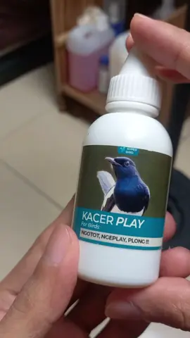 Kacer play vitamin kacer biar cepat gacor #kacerplay #vitaminkacer 