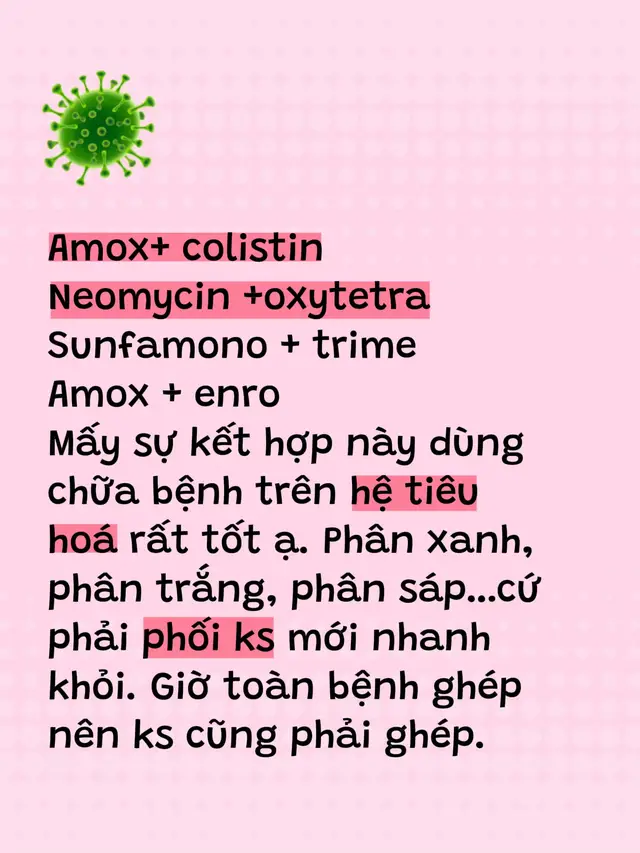 Công thức ghép kháng sinh chữa bệnh đường ruột nhạy nhất hiện nay #channuoigiacam #channuoiga #chănnuoiheo #gà_chọi_việt_nam #vairal 