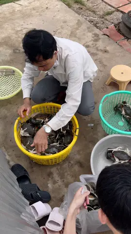 Cần gì quyền quý cao sang, chỉ cần mỗi sáng thức dậy gia đình vẫn còn ở bên nhau là được 🪴#viral #nhasala #fpyシ #mientay  @Nhà Sa Lá  @Nhà Sa Lá  @Nhà Sa Lá 