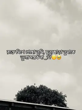 রক্তে মিশে গেছো তুমি, মৃত্যু ছাড়া তুমাকে ভুলা সম্ভব না _??😶🥹#sadpost #tending 
