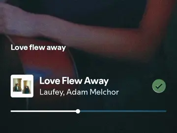 love flew away - laufey, adam melchor #laufey #music 