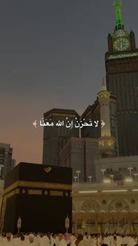 #creatorsearchinsights #CapCut #foryou #tiktok #lngshot  @🦅بـنـت بـوطـانـي🐆🦋 