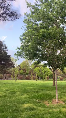 📍Florya | İstanbul 🌲💚 #turkey #istanbul #اسطنبول #اكسبلور #explore 