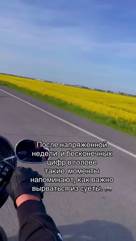 #бухгалтерскиеуслуги #мотожизнь#консультациионлайн #харлей #ип 