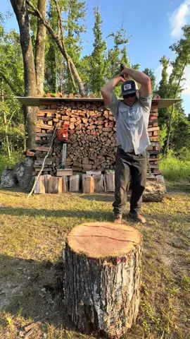 8lb Junkie Hand Splitting Red Oak #firewood #oak #fyp #husqvarna #372xp