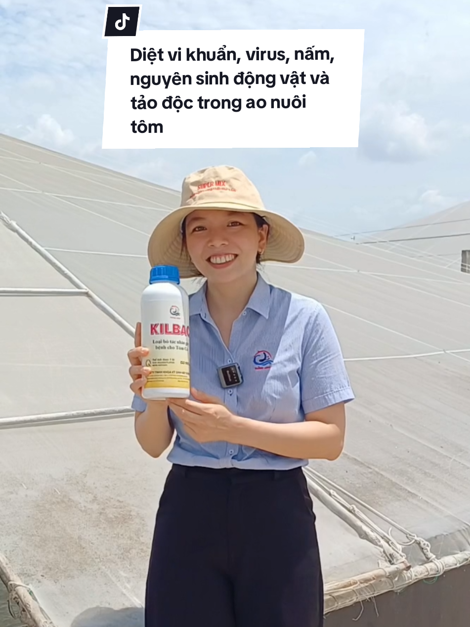 Diệt khuẩn KILBAC - Diệt vi rut, vi khuẩn, nấm, nguyên sinh động vật và cắt tảo độc trong ao nuôi. #nuoitomcongnghecao #thuysantrungnhan #tomvuive #nuoitomtrenaolotbat #nuoitomtrenaolotbat 