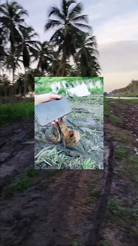 😋vlog pertama wkwkw,dari pada tersimpan d draft mnding kita post yaa  #Vlog #perkebunan ##perdana #jalanjelek #barengtemen 