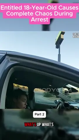 Part 2 #bodycam #copsoftiktok #police #policebodycam 