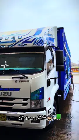 #ruterosperú🇵🇪 #isuzu800 #camionerosporelmundo #chofervitocarretero💨🚍🚍🚍 #carreteracentral 