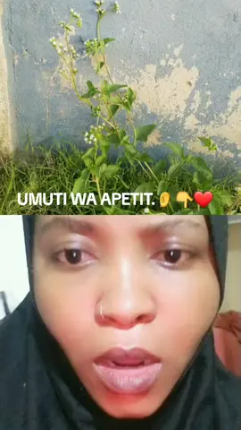 #wow❤❤  UMUTI WA APETIT.KBS❤