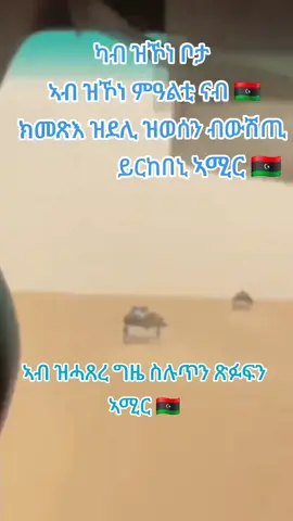 #viraltiktok #libya🇱🇾 #ethiopian_tik_tok🇪🇹🇪🇹🇪🇹🇪🇹 