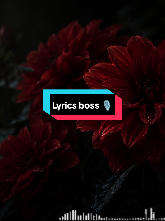 #edits #musicwithlyrics #songwithlyrics #tracymelonmusic #tracymelon @TracyMelon 