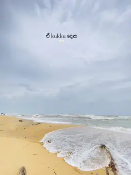 🤍🙂