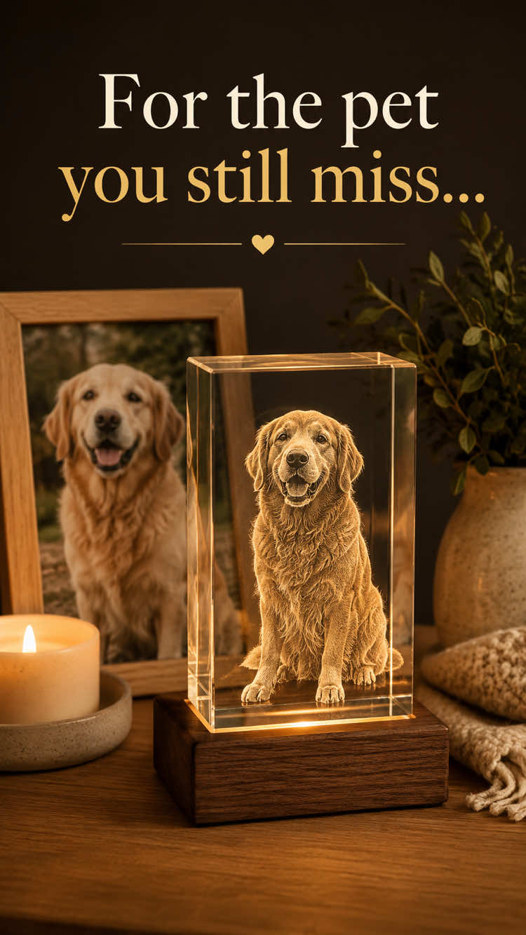 For the pet you still miss everyday #petloss #dogmemorial #dogsoftiktok #PetsOfTikTok 