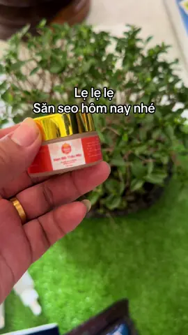 #xuhuong 