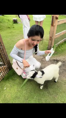 Chuột Lang Dê đẹp Trai và Em Thanh đẹp gái 🎉🎉🎉🎉🎉  #hừngđông #mũine #cfdep 