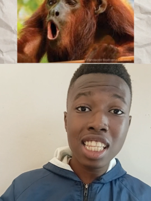 The Howler Monkey With a Trade-Off 😂#fyp #facts #animals #howlermonkey #monkey #wildlife #youtube #trending