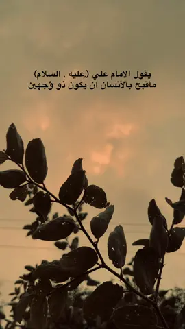 #اقوال_وحكم_الامام_علي_عليه_الاسلام 
