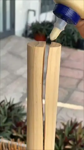 #قصص 