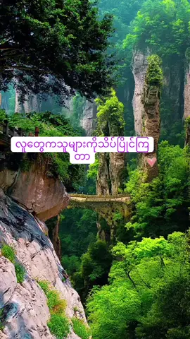 #ကိုရီးယားဆရာတော်ဦးဝိစိတ္တ #မဂ်လာညချမ်းလေးပါဗျာ🙏🙏🙏 