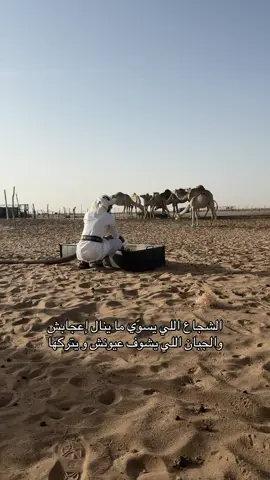 #نجران_الان #اكسبلور 
