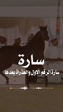 سارة الرقم الاول والعذراة بعدها 😎🔥🫡#شيلات_حماسيه #شيلات_زواج #شيلات_مدح #شيلات_طرب #شيله_باسم_سارة_تنفيذ_شيلات_بلاسماء