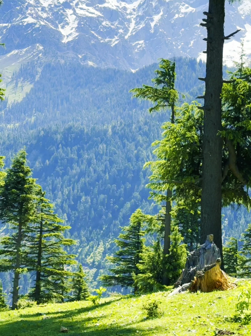 Kaith Valley Unseen Place Of Kalam 😱 . #trending #viral #foryou #discoverswat 