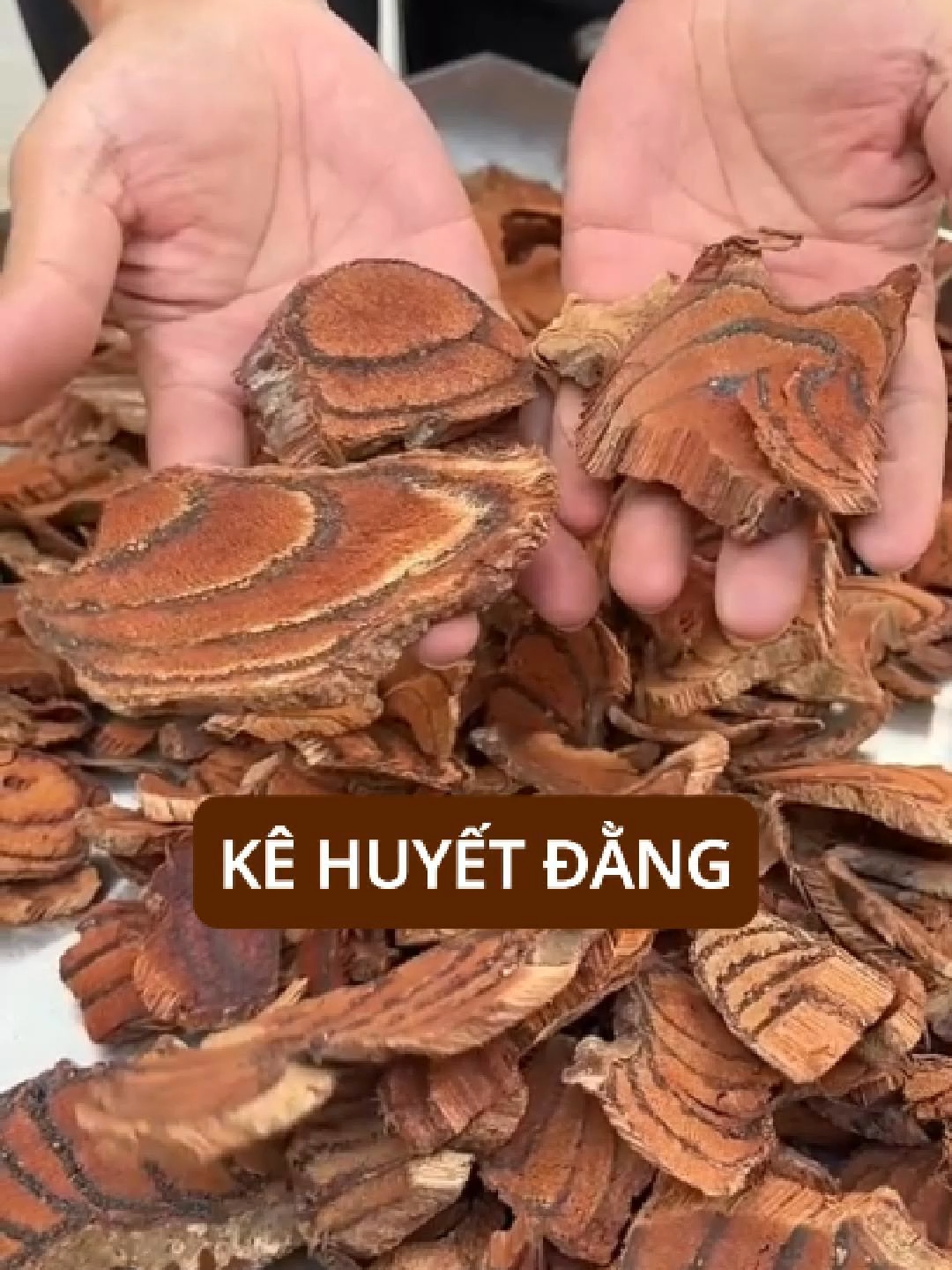 Kê Huyết Đằng #ytamduong #duongsinhdongy