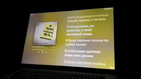 Ласковый зверь ❤️‍🔥 #9грамм #applemusic #music #fyp #lirycs_music 