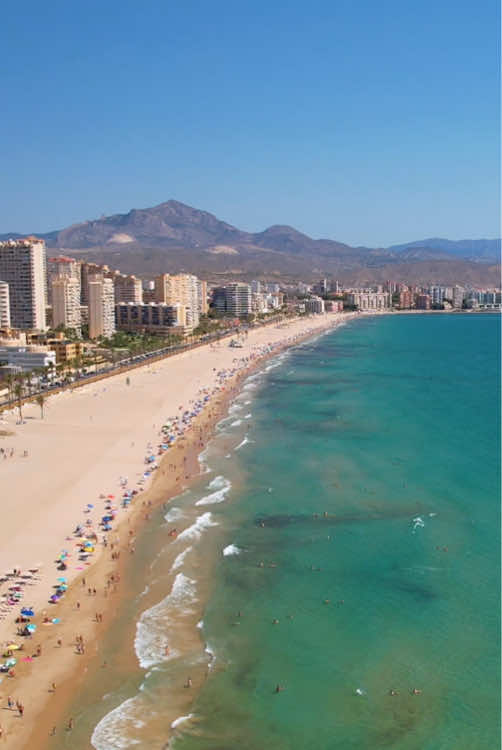 Muchavista Beach 🌞🏖🌴🇪🇸❤️ #spain #alicante #travel #beach #droneview 